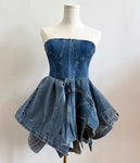 Fleur Nova Denim Frock (custom made)